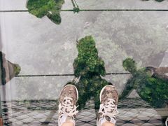 -梦幻奥陶纪景区