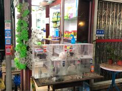 -曲阳花鸟市场(曲阳路店)