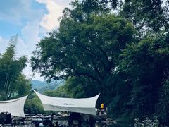 -北仑森林植物园