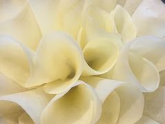 -蜀大侠火锅(春熙路店)