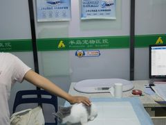 -半岛宠物医院24小时(科华中路店)