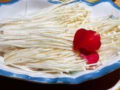 -青瓷火锅料理(西单大悦城店)