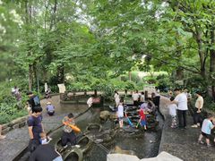 游乐设施-成都市活水公园