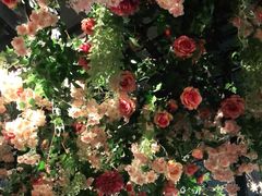 -缦云里花园餐厅