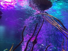 -沈阳海洋探索中心