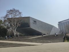 -武汉大学-樱园