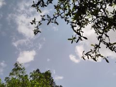 -黔灵山公园