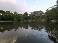 -丽池公园