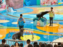 -海合安成都极地海洋公园