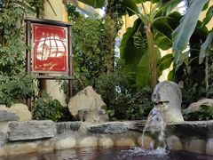 -中家鑫园温泉酒店鑫悦汤泉