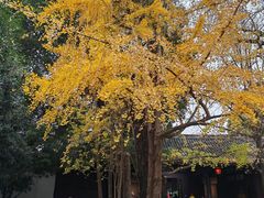 -三苏祠