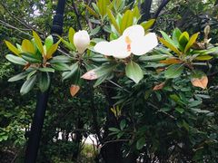 -红莲湖旅游度假区