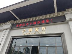 -龙天小镇