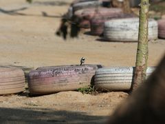-长洲岛都市农业公园