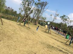 -上海长兴岛郊野公园