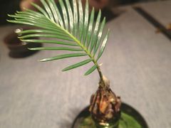 -南里山房·新淮扬菜(徐汇万科店)