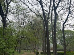 -元大都城垣遗址公园