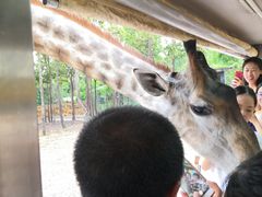 -清迈夜间动物园