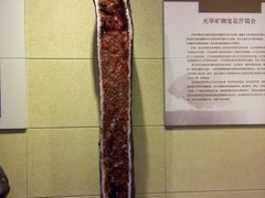 android_upload_pic-中华赏石园