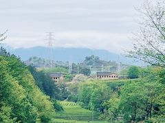 -杨家堂村