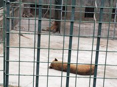 -竹泉村旅游度假区
