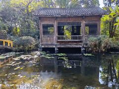 -深圳国际园林花卉博览园