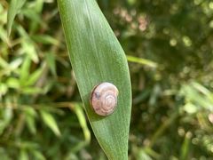 -武清南湖绿博园