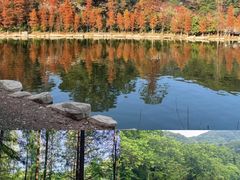 -广州市帽峰山景区