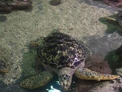 -南昌海洋公园