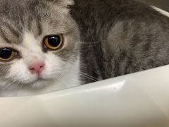 -宠颐生宠物医院·骨外科·犬猫全科诊疗中心(池州店)