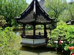 -上海醉白池公园