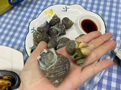 -魚當家