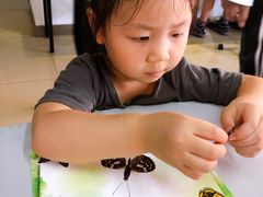 -上海昆虫博物馆