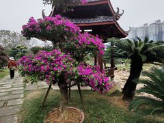 -南宁南湖公园
