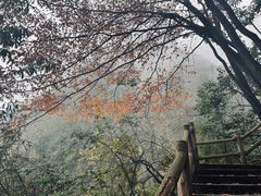 -九峰山