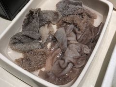 -海底捞火锅(公益西桥店)