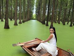 -渌洋湖湿地公园
