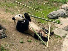 -栾川竹海野生动物园