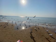 -老虎石海上公园