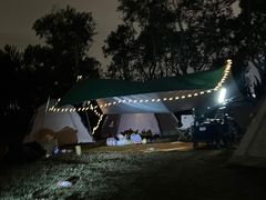 -春花秋色城市公园