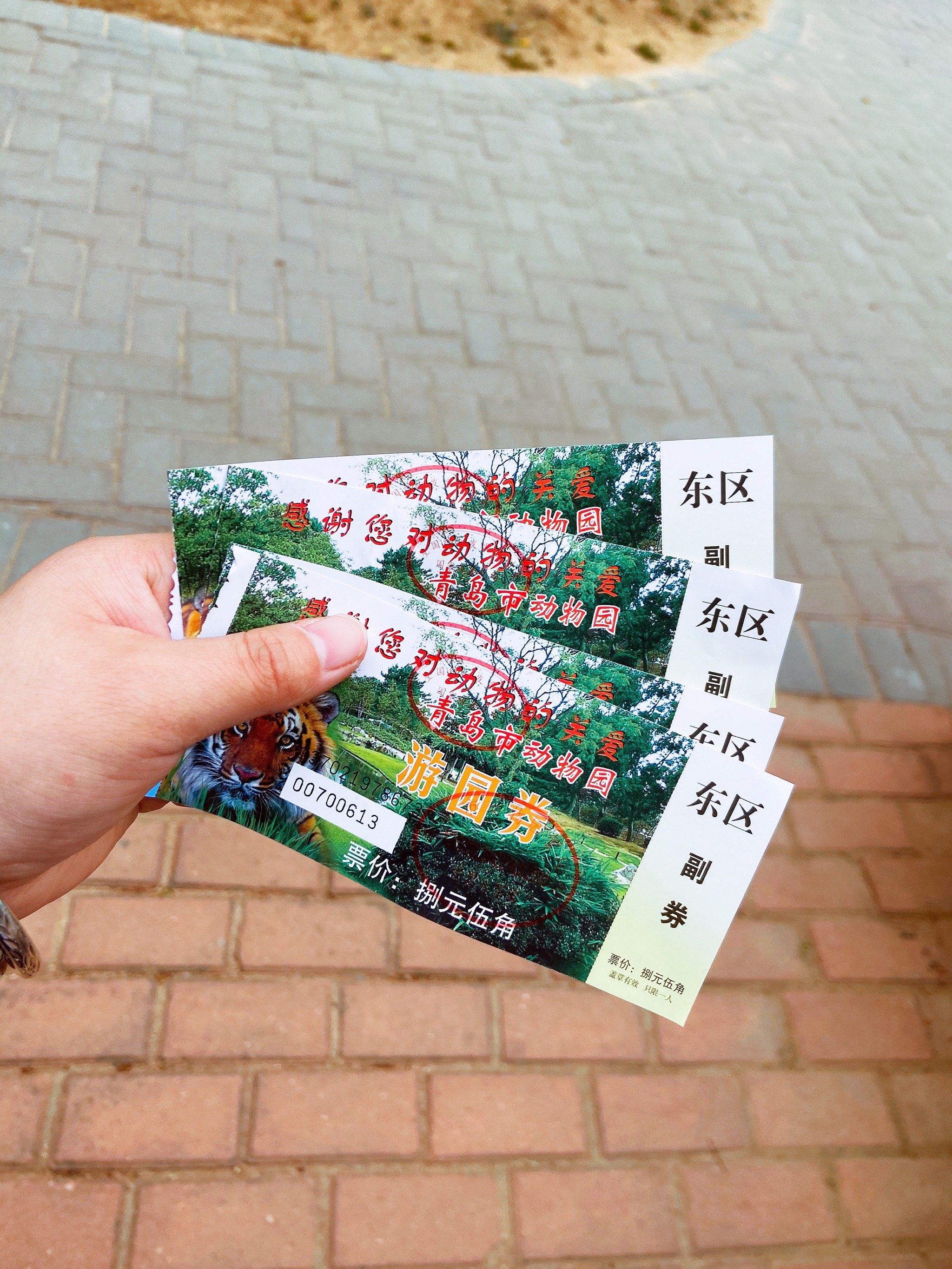 当然少不了去青岛动物园呀
青岛动物园分东西两个区域,门票🎫8