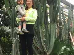 -呀路古热带植物园