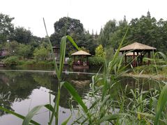 -成飞公园