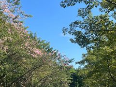 -白石龙音乐公园