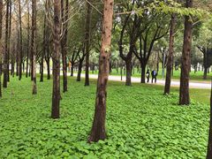 -浙江大学(海宁国际校区)