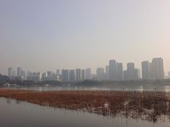 -月湖风景区