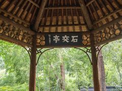 -西泠印社