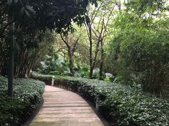 -百林公园-两江幸福广场
