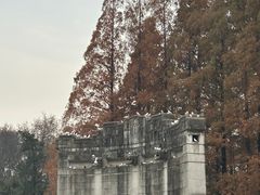 -音乐台