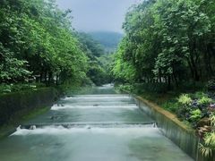 -广州白江湖森林公园